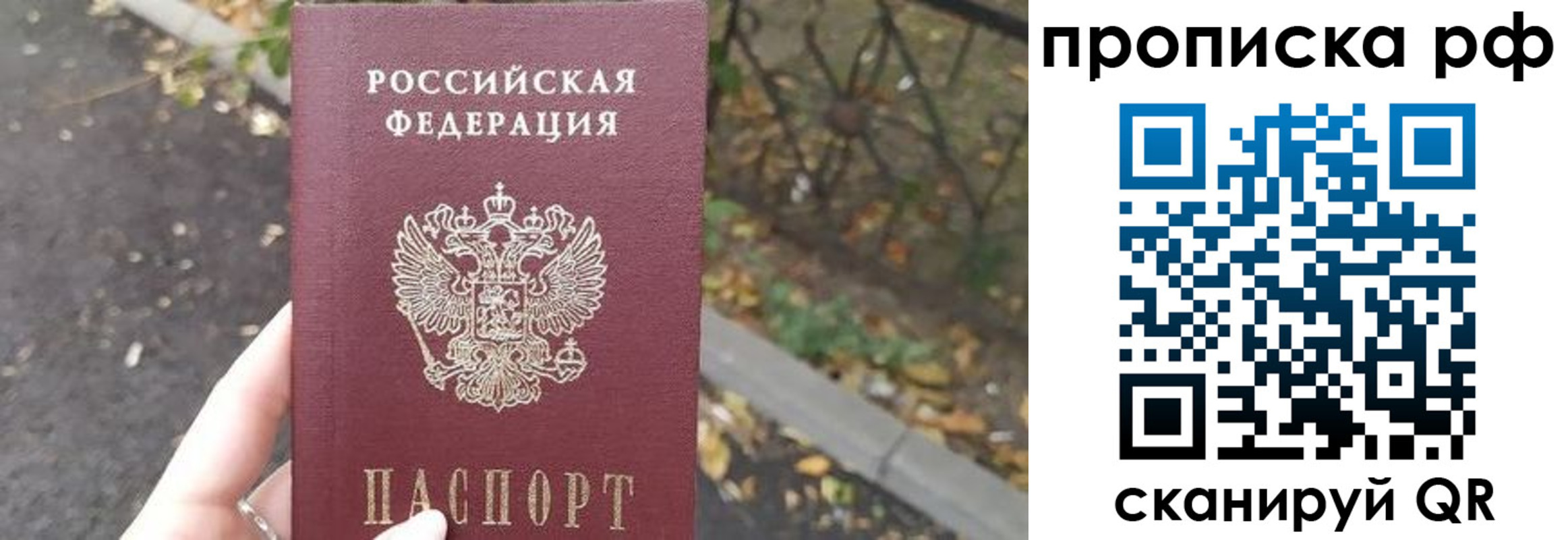 прописка штамп в Озёрске